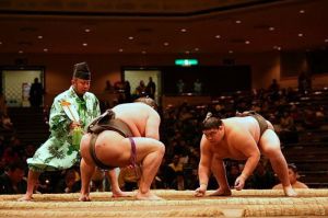 Sumo Match