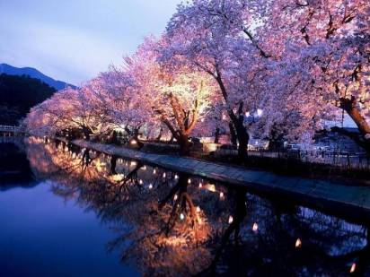 Japan in spring 6